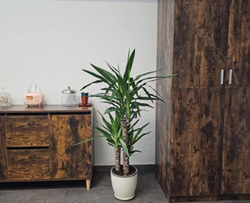 Klasikinis manikiūras - The Witch - Green Hall pastate patalpų nuoma - 3