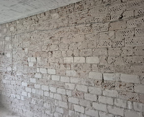 Griovimo darbai šiukšliu išvežimas / Audrius / Darbų pavyzdys ID 4155556