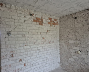 Griovimo darbai šiukšliu išvežimas / Audrius / Darbų pavyzdys ID 4155558