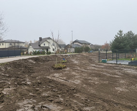 Krautuvų nuoma - Mini krautuvo nuoma su operatorium - 2