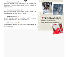 Maketavimas - Tinklapių ir prekinio ženklo dizainerė - 2