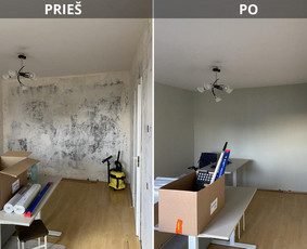 Vidaus erdvių apdaila ir interjero sprendimai / MB Ekorevive / Darbų pavyzdys ID 4156206