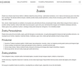 Tekstų redagavimas / Dominyka Aleksaitė / Darbų pavyzdys ID 4156850