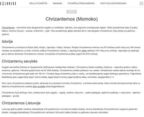 Tekstų redagavimas / Dominyka Aleksaitė / Darbų pavyzdys ID 4156852