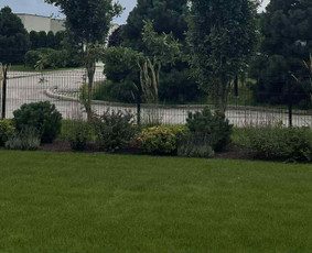 Apželdinimo konsultacija - Kra&scaron;tovaizdžio projektavimas ir įgyvendinimas - 2