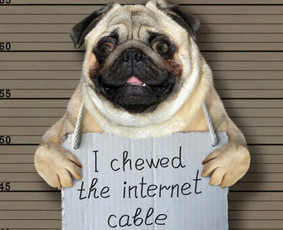 Statybos, apdaila - Šviesolaidžio virinimas - 3