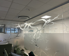 Statybos, apdaila - Veidrodinės plėvelės klijavimas - 2