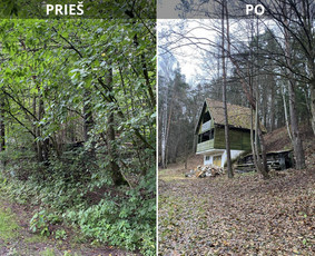 Tradiciniai amatai - Sklypų tvarkymas: medžių, krūmų, žolės pjovimas. - 2