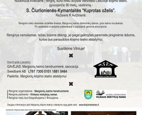 Grafinis dizainas, vizitinės, logo, plakatai, baneriai, Di / Stasys Eidiejus / Darbų pavyzdys ID 4160012