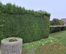 Perkraustymo paslaugos ir ne tik / MB "Laudeira" / Darbų pavyzdys ID 4160154