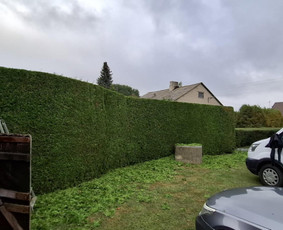 Perkraustymo paslaugos ir ne tik / MB "Laudeira" / Darbų pavyzdys ID 4160156