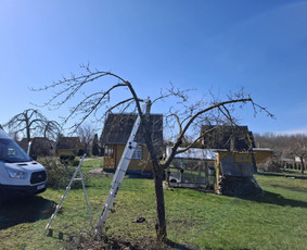 Perkraustymo paslaugos ir ne tik / MB "Laudeira" / Darbų pavyzdys ID 4160160
