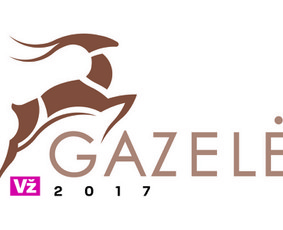 Sodybos nuomai - Jūsų šventė - mūsų rūpestis - 2