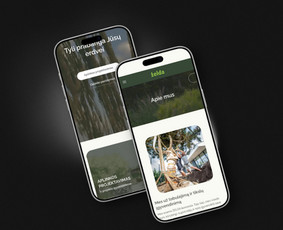 Svetainių kūrimas - Bendradarbiavimo principai - sėkmės formulė Jūsų verslui! - 3