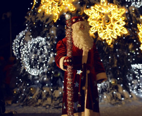 Renginių vedėjai - Kalėdų senelis šventėje (Vilniaus apskritis) - 1