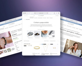 El. parduotuvių kūrimas - Bendradarbiavimo principai - sėkmės formulė Jūsų verslui! - 2