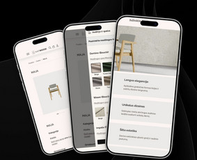 Interneto svetainių kūrimas - Bendradarbiavimo principai - sėkmės formulė Jūsų verslui! - 2