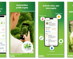 10x Greičiau sukuriami sprendimai su Ai pagalba / WyrdIT / Darbų pavyzdys ID 4161060