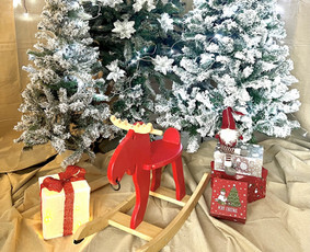 Renginiai, šventės - Fotostudijos nuoma Vilniuje - 4