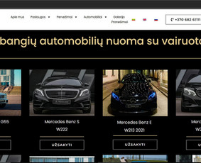 Interneto svetainių kūrimas - Global Svetainės ir e. parduotuvės kūrimas. + Seo - 3