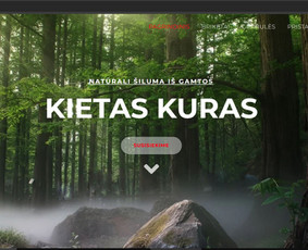 Interneto svetainių kūrimas - Global Svetainės ir e. parduotuvės kūrimas. + Seo - 4