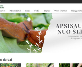 Abc Interneto Svetainių ir El. Parduotuvių kūrimas + Seo / Edgaras / Darbų pavyzdys ID 4162490