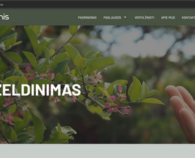 Abc Interneto Svetainių ir El. Parduotuvių kūrimas + Seo / Edgaras / Darbų pavyzdys ID 4162496