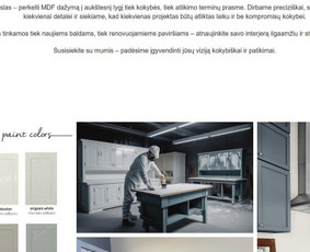 Internetas, IT - Web kūrimas,administravimas(+soc. admin.)seo, ads - 3