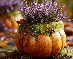 Kitos kategorijos - Ezoteriko pagalba - 1