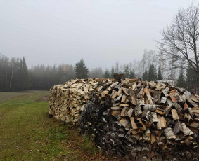 Malkos: gamyba, pristatymas - Beržinės ir drebulinės sausos skaldytos malkos - 1