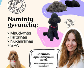 Šunų ir kačių kailio priežiūra - Naminių gyvūnėlių kirpėja Eglė Vilniuje - 1
