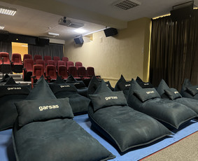 Valymo paslaugos - Cheminis baldų valymas Panevėžyje - 1