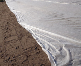 Kiemo, aplinkos apželdinimas - Gerbūvio darbai - 2