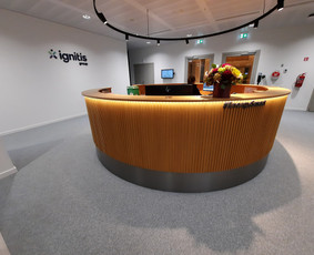 Nestandartinių baldų gamyba - Korpusinių baldų ir interjero elmentų gamyba - 3