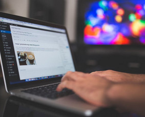 Programavimas su WordPress - Tinklapių kūrimas, priežiūra, programavimas(javascript, Php) - 2