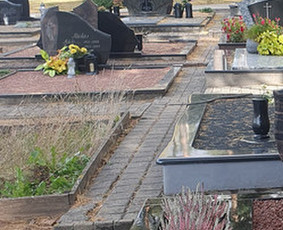 Paminklo, tvorelių atnaujinimas - Prižiūriu kapus laistau, sodinu gėles, raviu ir t. - 3
