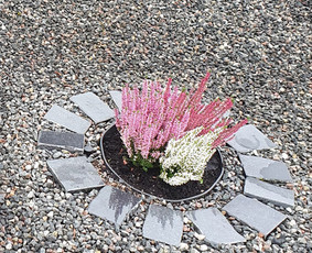 Paminklo, tvorelių atnaujinimas - Prižiūriu kapus laistau, sodinu gėles, raviu ir t. - 1