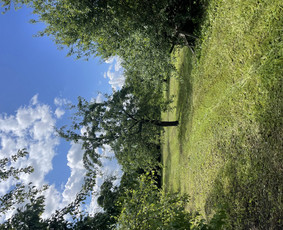 Namų meistras: visos paslaugos vienoje vietoje! / Namų meistras / Darbų pavyzdys ID 4164954