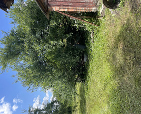 Namų meistras: visos paslaugos vienoje vietoje! / Namų meistras / Darbų pavyzdys ID 4164956