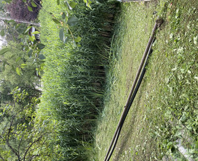 Namų meistras: visos paslaugos vienoje vietoje! / Namų meistras / Darbų pavyzdys ID 4164958