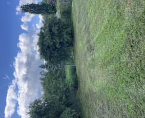 Namų meistras: visos paslaugos vienoje vietoje! / Namų meistras / Darbų pavyzdys ID 4164964