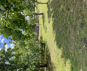 Namų meistras: visos paslaugos vienoje vietoje! / Namų meistras / Darbų pavyzdys ID 4164978