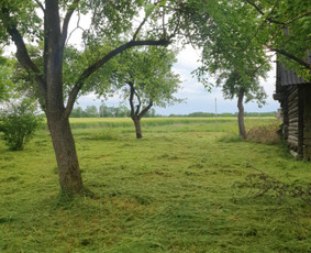 Namų meistras: visos paslaugos vienoje vietoje! / Namų meistras / Darbų pavyzdys ID 4164988