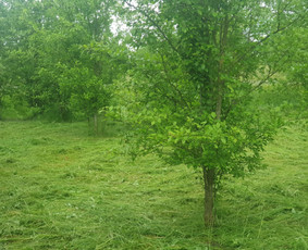 Namų meistras: visos paslaugos vienoje vietoje! / Namų meistras / Darbų pavyzdys ID 4164992