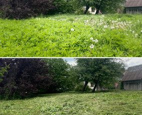 Pagalbiniai lauko darbai - Namų meistras: visos paslaugos vienoje vietoje! - 4