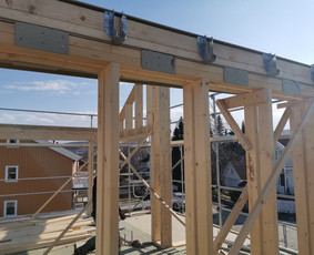 Sodo, mediniai nameliai - Viskas, kas iš medžio! Ir ne tik! - 4