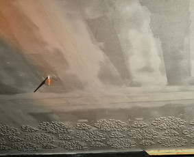 Dekoratyvinis tinkavimas - Glaistymo, dažymo, dekoravimo, bei kiti vidaus apdailos darb - 4