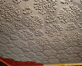 Dekoratyvinis tinkavimas - Glaistymo, dažymo, dekoravimo, bei kiti vidaus apdailos darb - 3