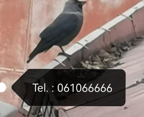 Statybos darbai - Latakų valymas, stogo remontas - 1