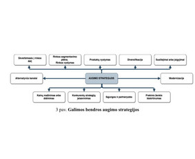 Kitos kategorijos - Kai reikia Skubiai - įvairios apimties ra&scaron;to darbai be Di - 4